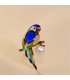 XSB096 - Colorful Bird Saree Brooch